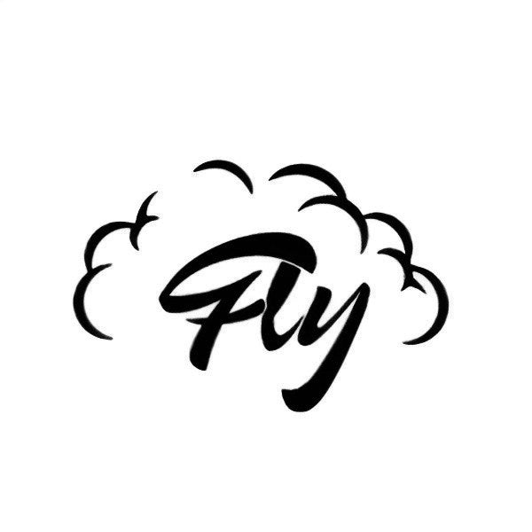 LOGO FLY