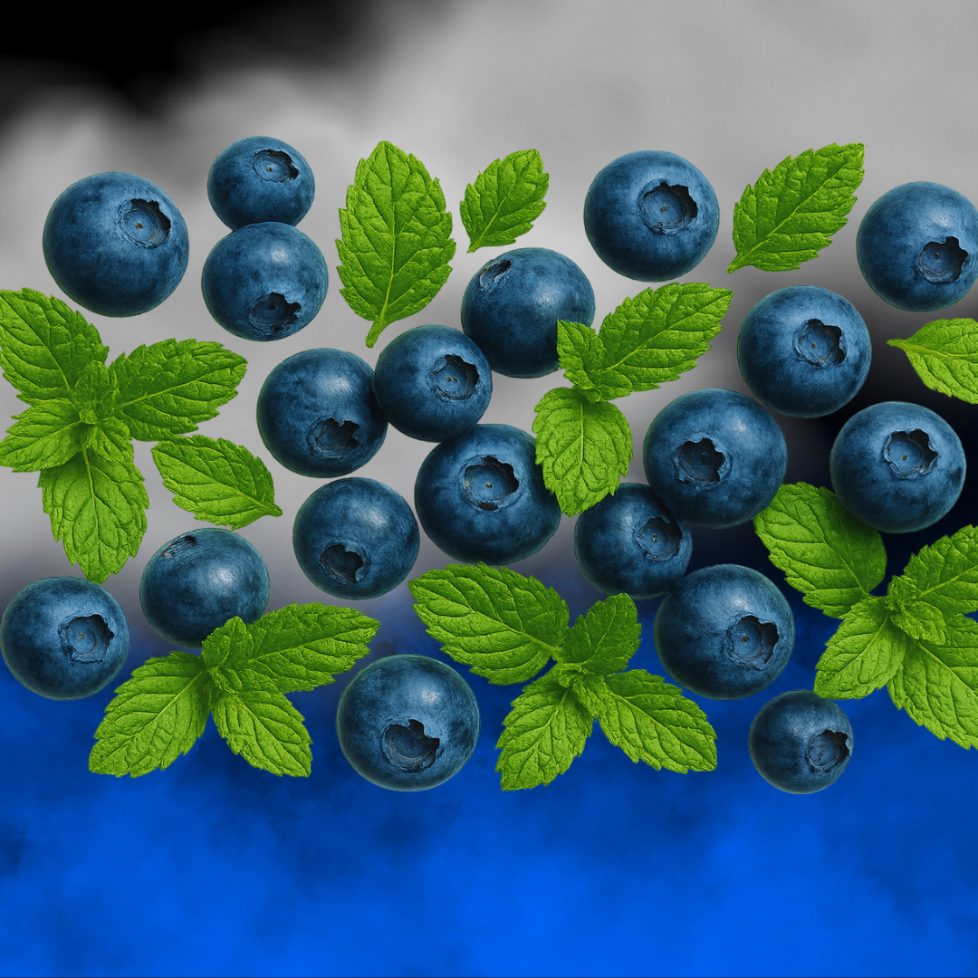 Tabaco_para_Shisha_Mazaya_hookah_shisha_narguila_cachimba_tabaco_melaza_refrescante_Mazaya__naturalblueberrywithmint_naturalblueberrywithmint_natural_blueberry_with_mint