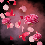 Tabaco para shisha Al-Fakher rosas / rose original 50g – sabor floral y delicado – Shisha Land Mx