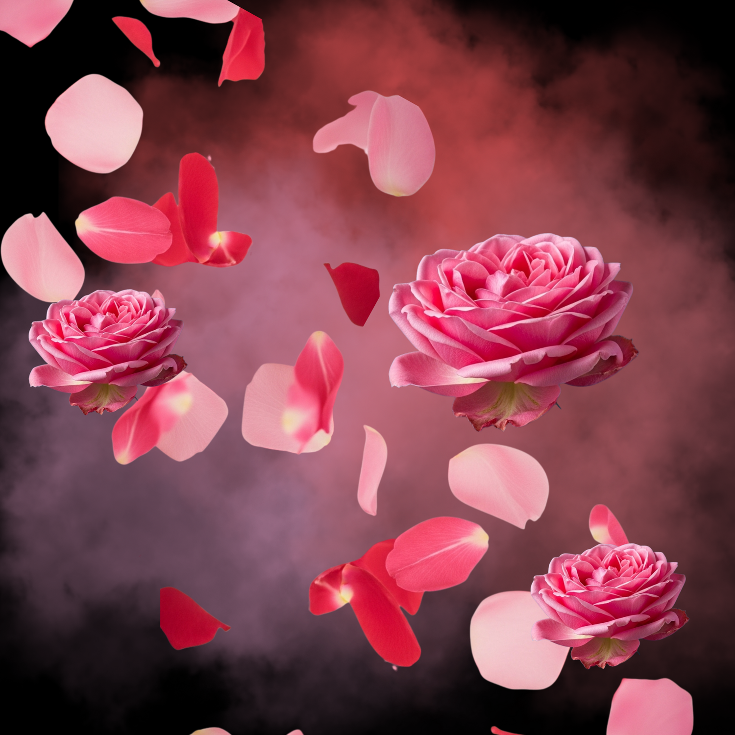 Tabaco para shisha Al-Fakher rosas / rose original 50g – sabor floral y delicado – Shisha Land Mx