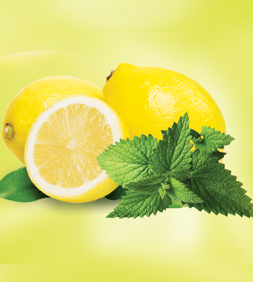Shisha tabaco-lemon mint